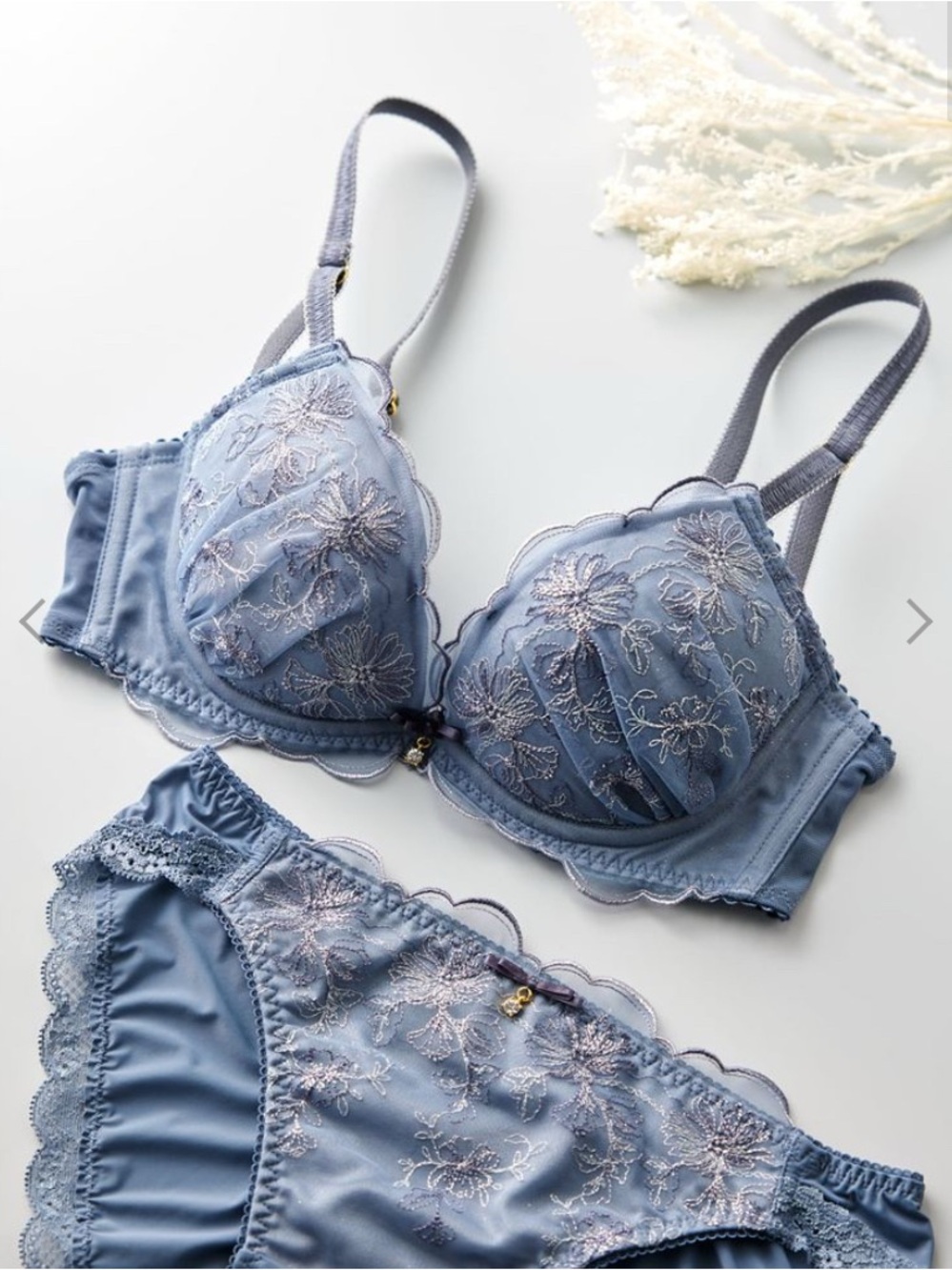 Blue Lace Embroidered Bra & Brief Set